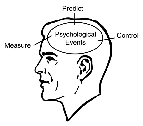 male head with prediction and control labels