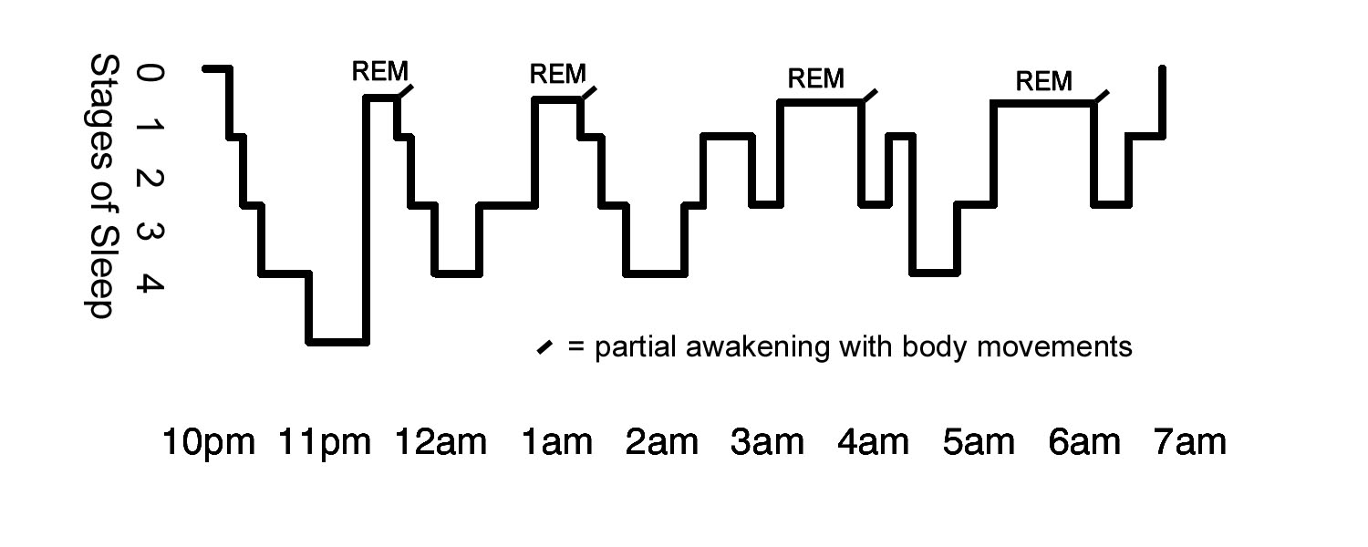 5 stages of sleep psychology