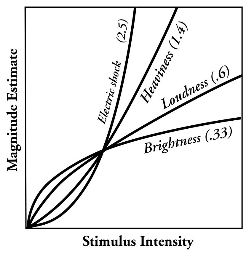 Fechner type curves