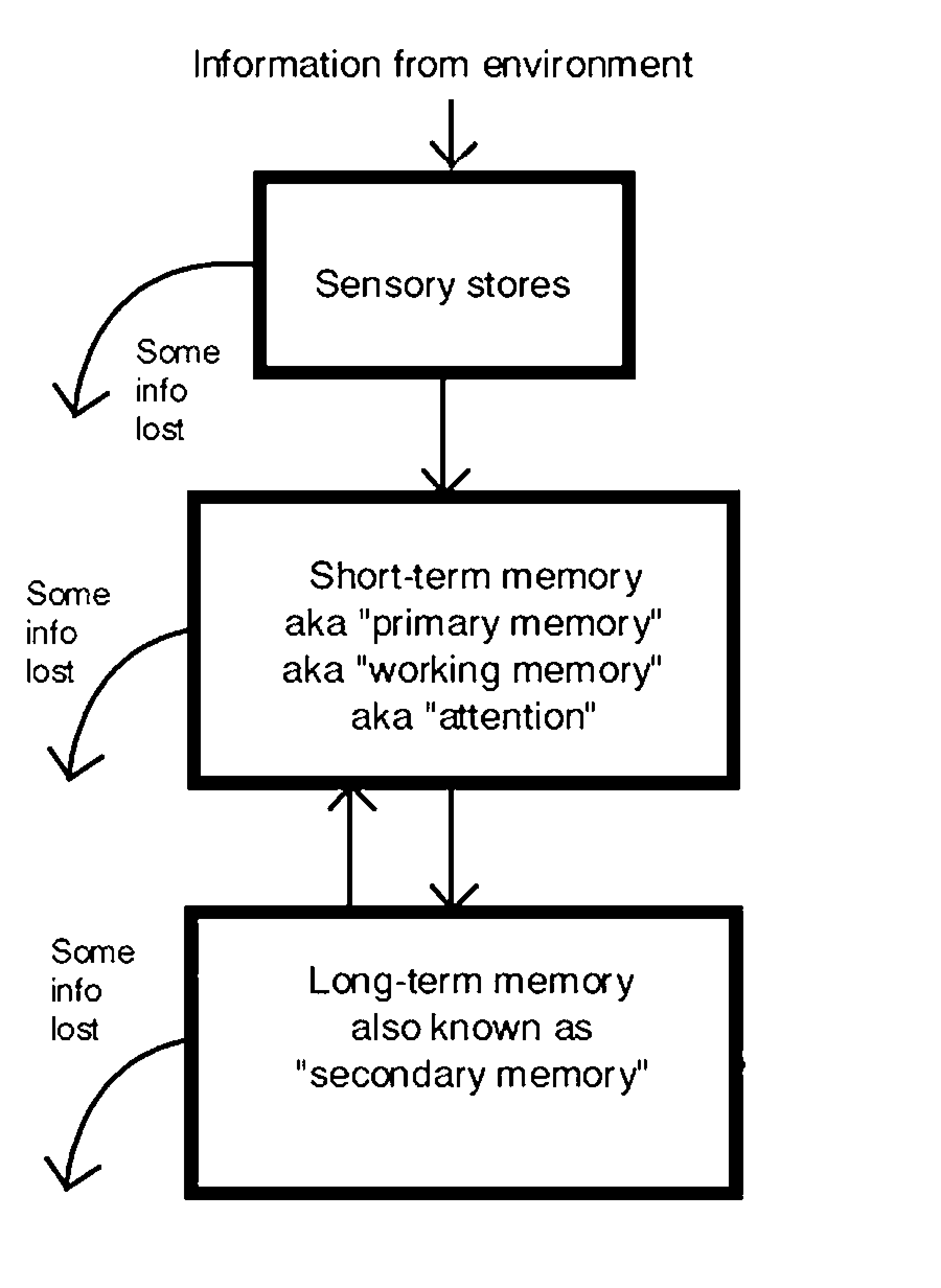 diagram of the 3-box model