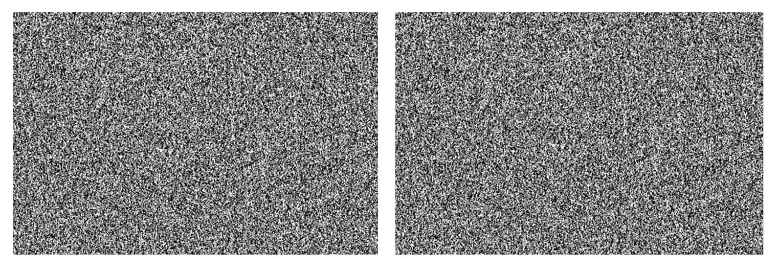 Two images look like random dot fields