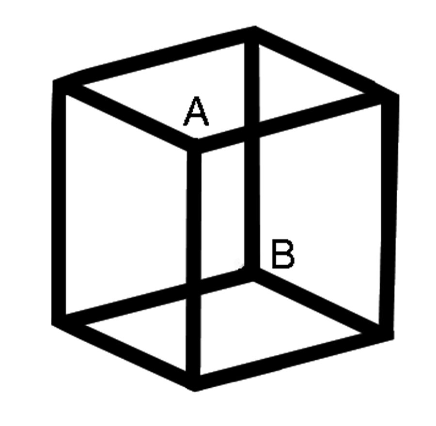 Another Necker Cube diagram