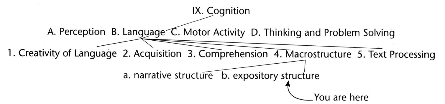 An outline in pyramid shape