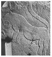 Image from Gobekli Tepe